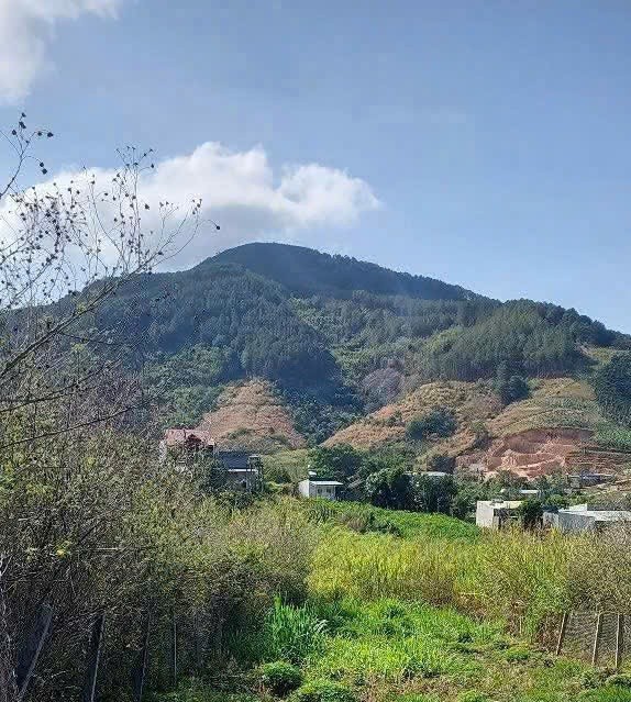 dat dong thanh gan rung thong cach nhua 300m chi 970 trieu