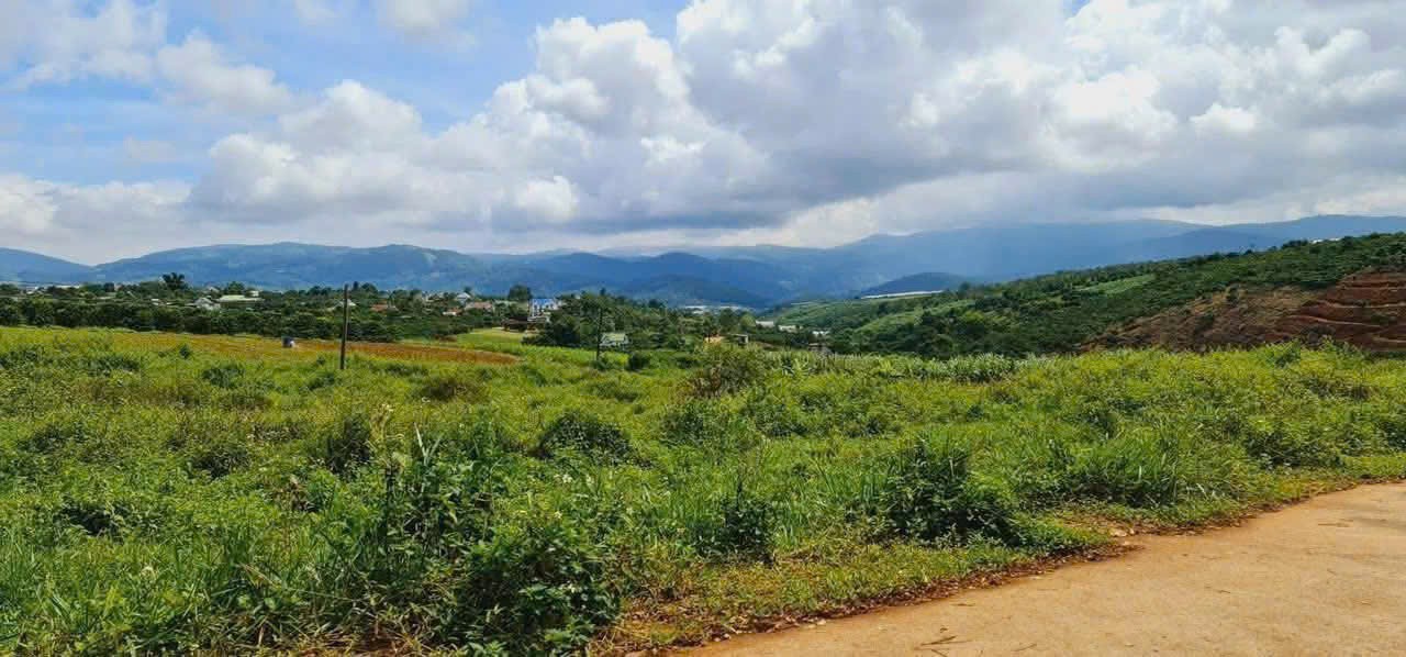 manh dat me linh chu ngop sieu ha gia dat no hau dep view doi thong thoang dep cach tp da lat 9km