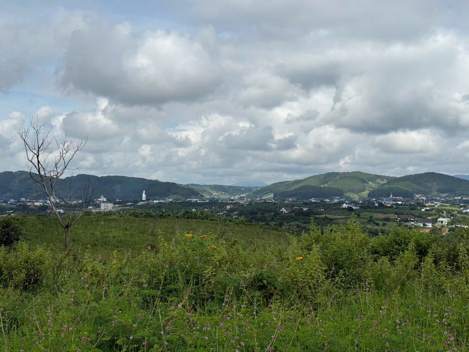 manh dat dong thanh view tuong phat va thi tran dep lung linh cach duong nhua 15km