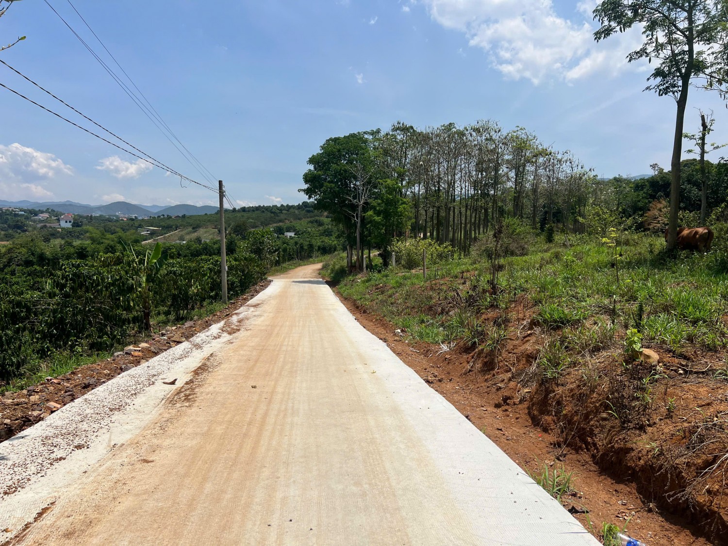 lo dat dep o dong thanh cach duong nhua 100m cach da lat 10km