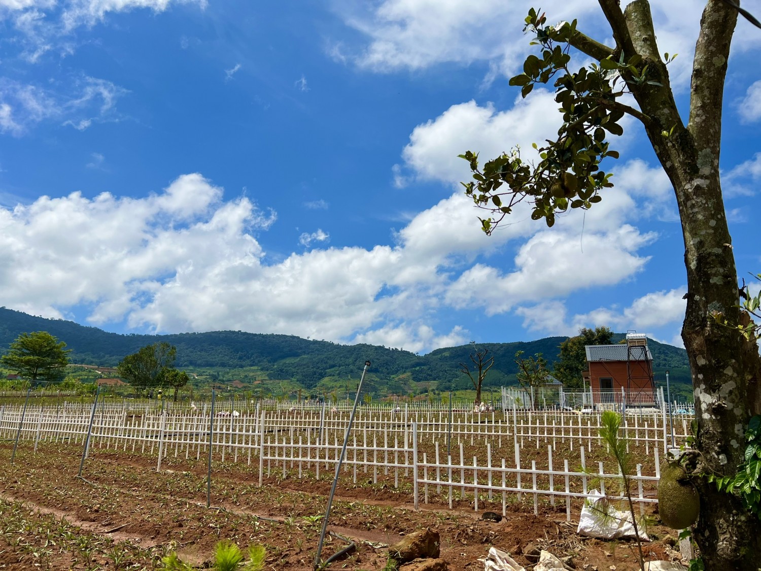 canh dep nhu tranh gan nui voi view san may va thung lung xinh lung linh gia 570 trieu