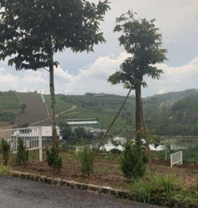 ban 32 ha dat xa tien hoang huyen da huoai tinh lam dong  dt 35ha 100m mat tien duong nhua
