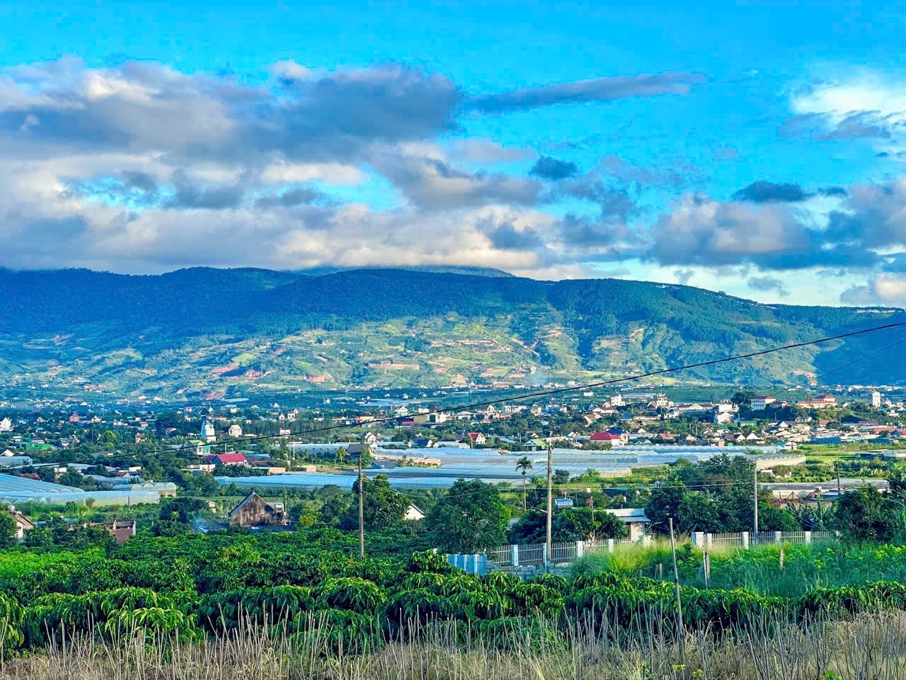 chu ngop  dat the cao cach cho thang long 2km view 360 do ngam thi tran va san may cuc chill