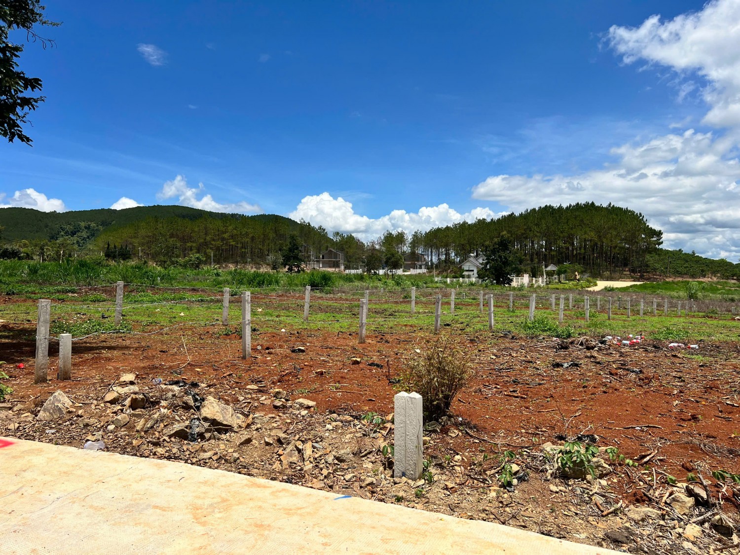 dat thoang dep khu villa gia lam xung quanh rung thong