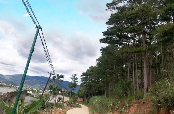 ban gap lo dat rong dau tu sinh loi cao tai lam ha   lam dong dien tich 5500 m2 gia 4 ty