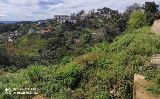 ban lo dat duong hoang hoa tham view rung thong thanh pho da lat gia 63 ty