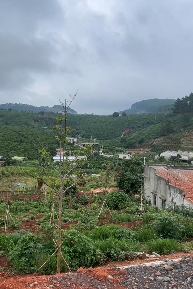 manh dat me linh 2 mat tien no hau dep view doi thong gan duong nhua me linh cach tp da lat 8km