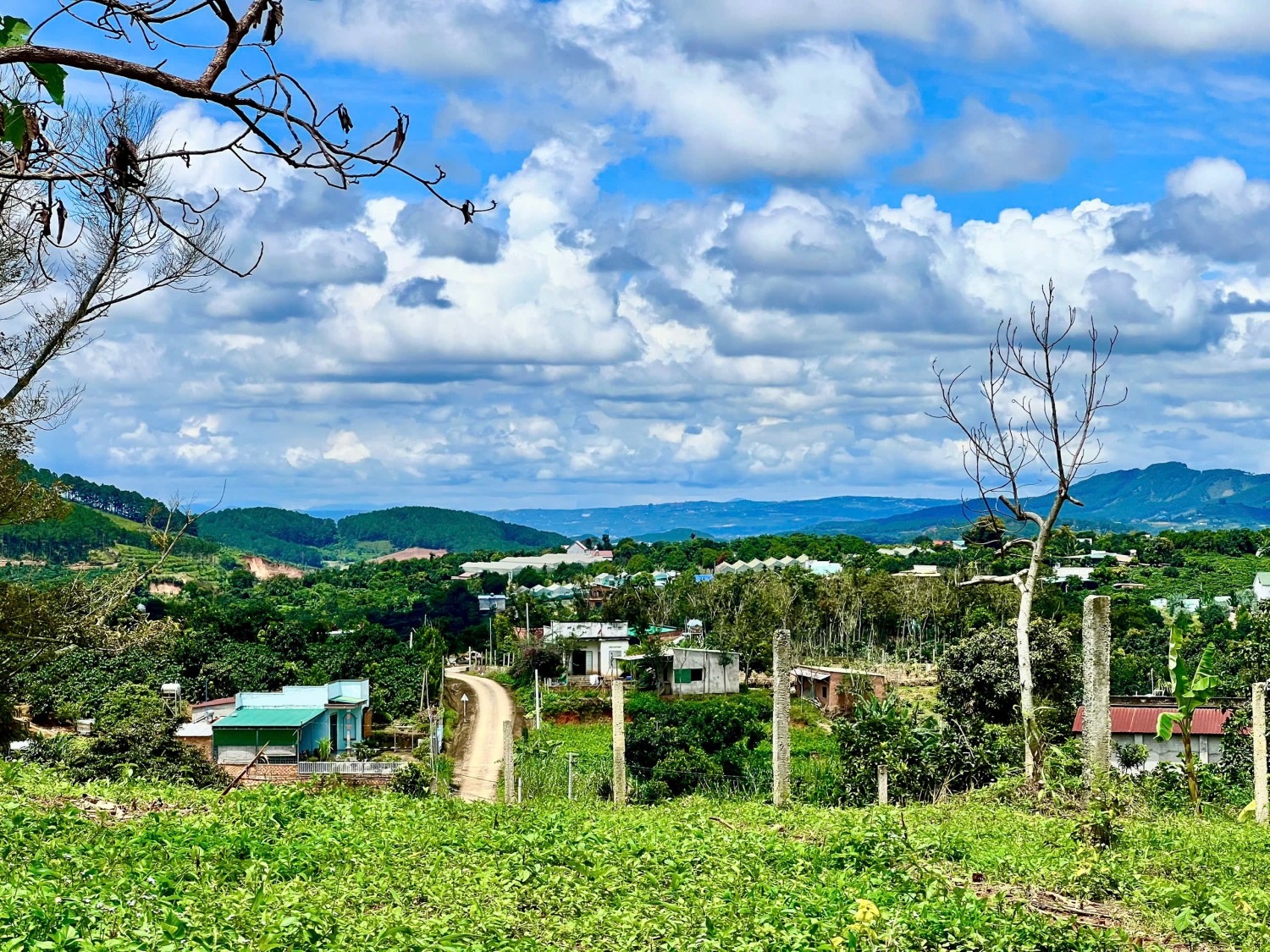 manh dat gan duong nhua o khu dan cu view sieu dep chu ngop ban re o dong thanh mat me