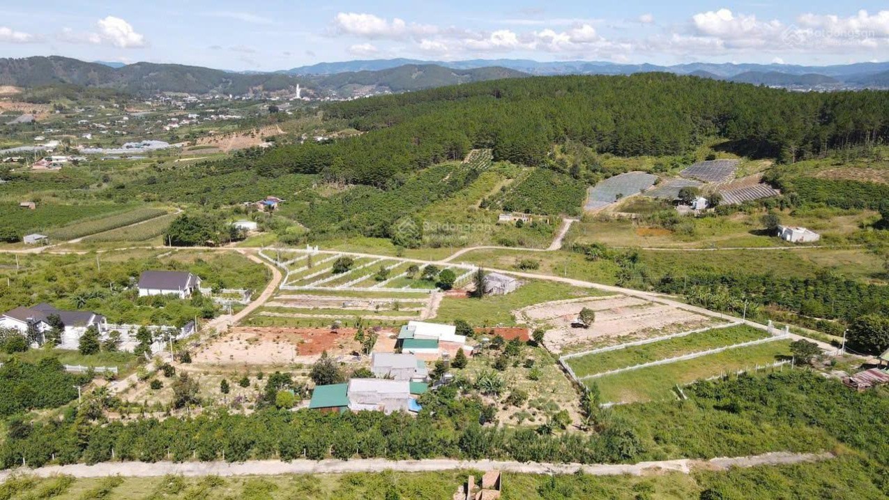 dat ngoai o da lat view thong vinh vien hang xom chat luong