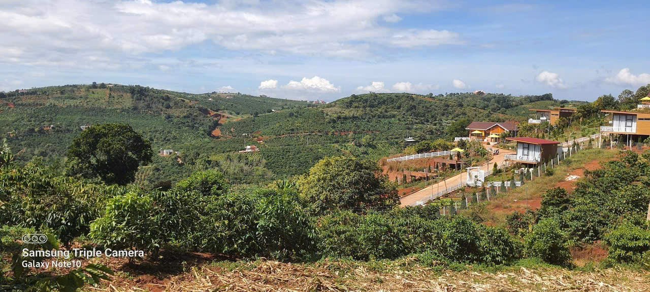 dat dep doi dien homestay du lich view doi thong
