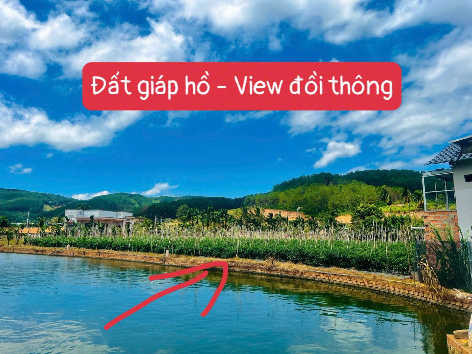 lo dat hiem dep giap ho view doi thong cach da lat 10km