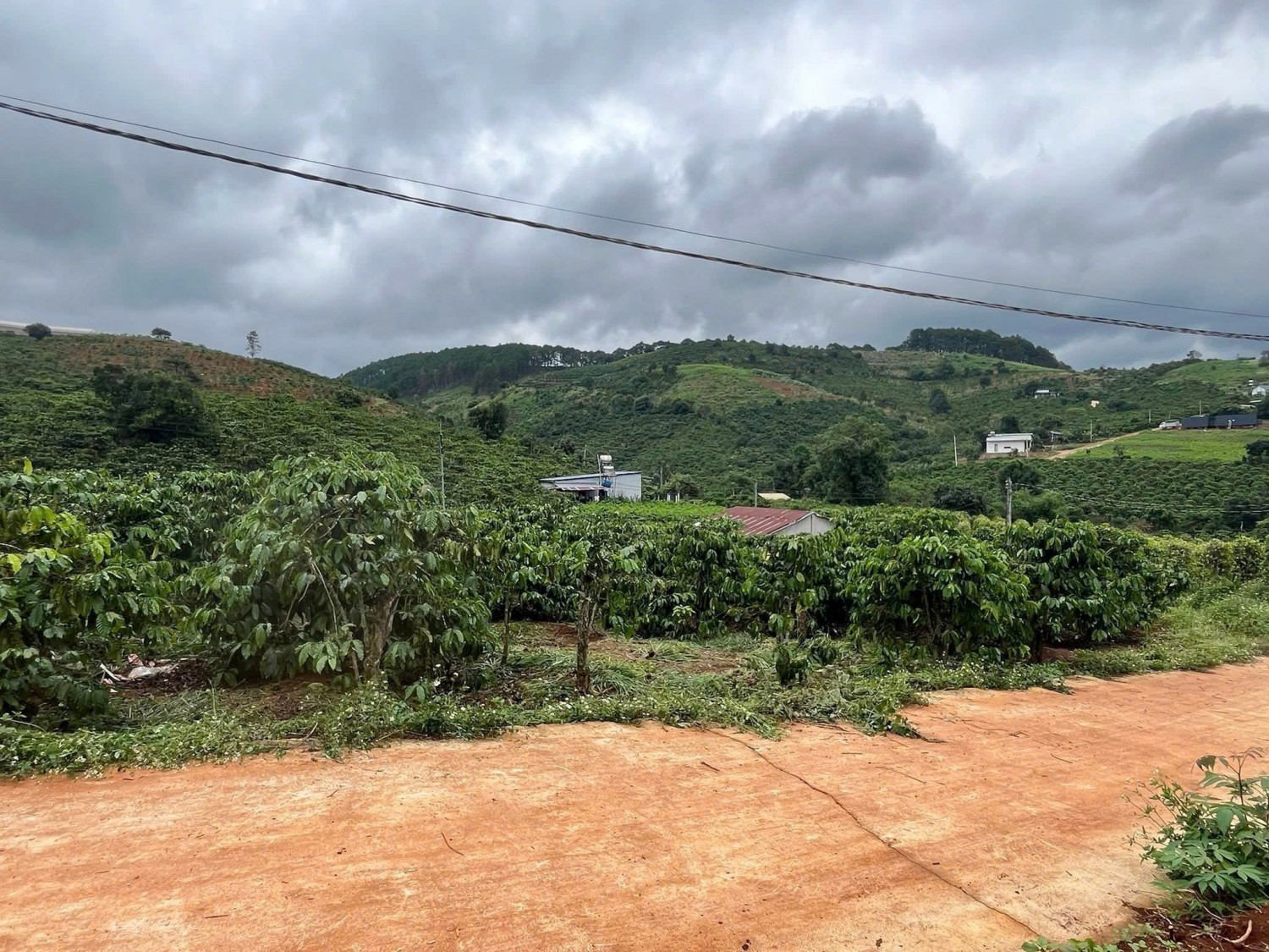 manh dat me linh ngop gia re cach da lat 5km view thung lung tren dat san cay an trai