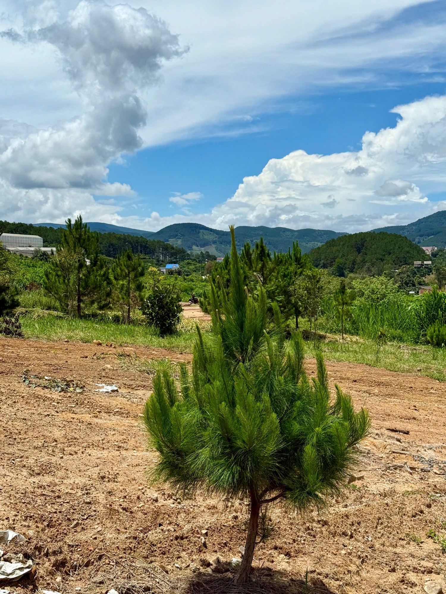 manh dat re ngay duong betong rong 7m khu dan cu moi o nam ha view thoang dep