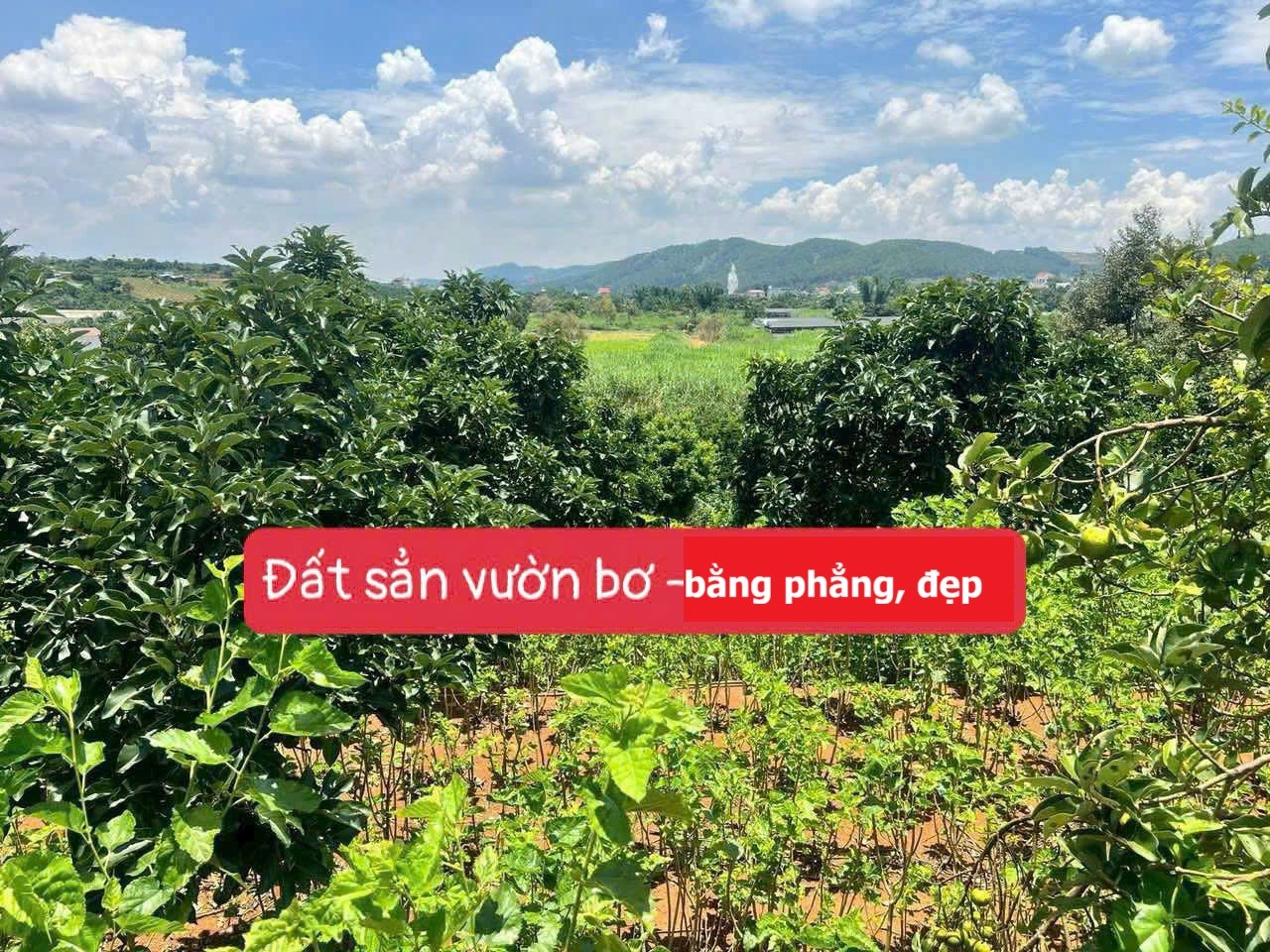 manh dat dep cach duong nhua 400m gan khu dan cu dat trong bo va dau tam view tuong phat ?