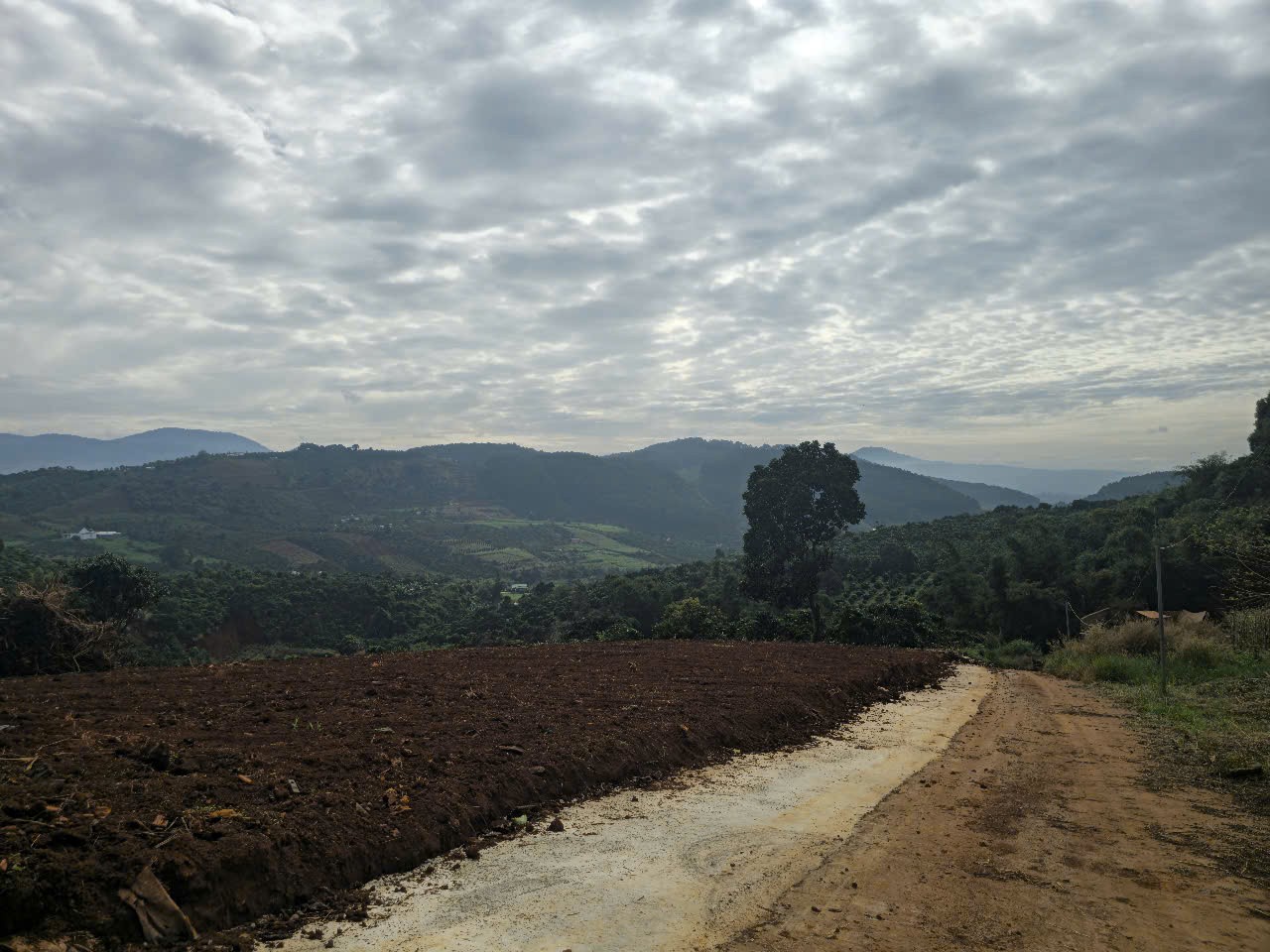 lo dat sao no hau hon 1200m2 o nam ha gan duong nhua