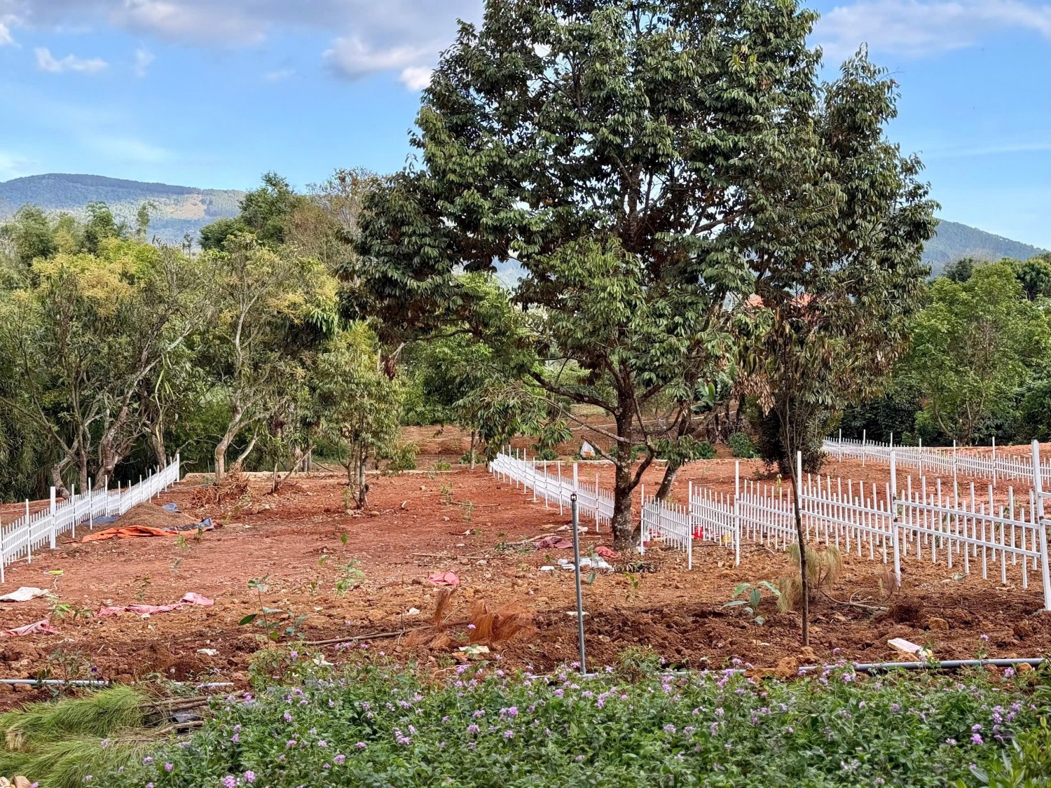 trung tam nam ban cach nhua dt725 chi 500m gan cho thang long sau co suoi nho roc rach