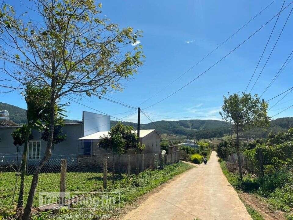 gia dinh co manh dat rong 33ha can ra gap o thon duc binh xa hoai duc lam ha gia chot 10 ti thuong luong