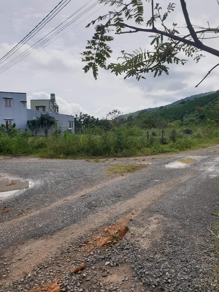 chinh chu ket tien can ban nhanh 2 lo dat lien ke thuoc xa loc chau tp bao loc lam dong dai ha gia