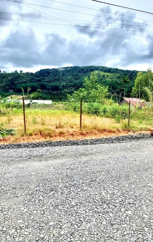 ban dat 35 sao ta nung tp da lat gia sieu re