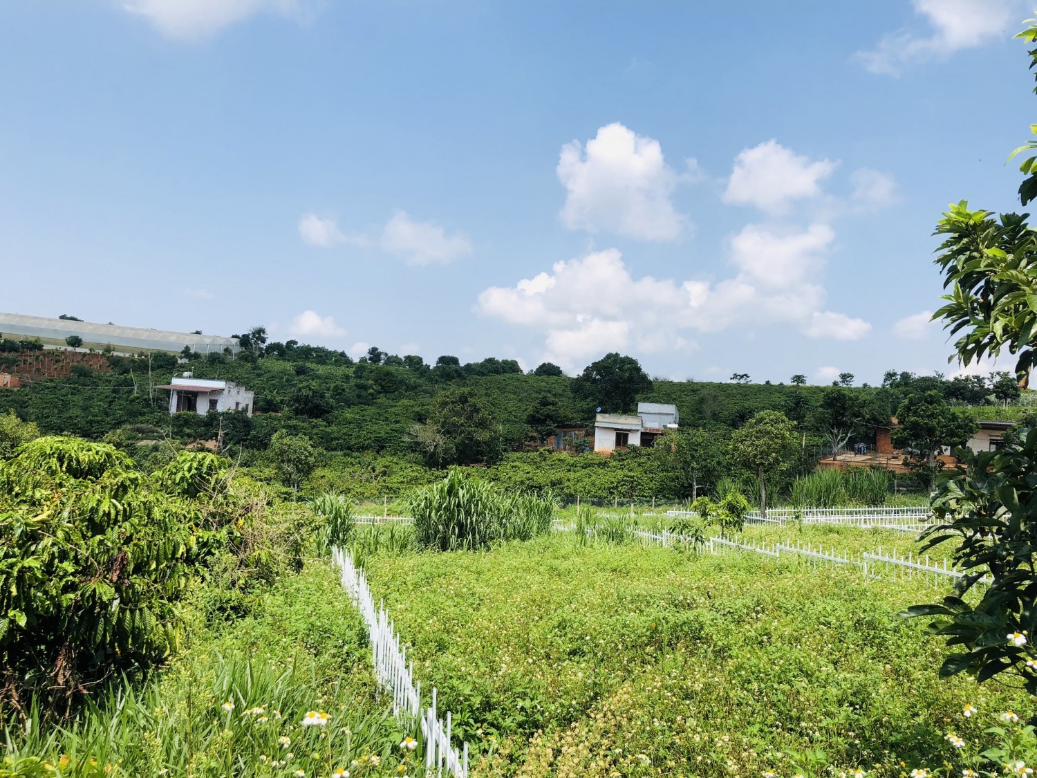 ban dat tho cu nghi duong gan ub xa nam ha
