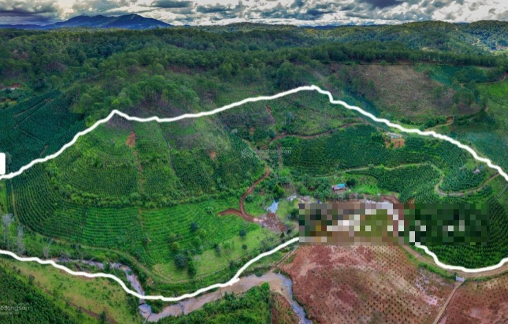 ban 5ha2 dat tai thanh pho da lat moi sieu re chi 500k m2