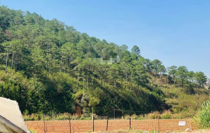 2 7 tr m2 co ban le tren 2000m2 theo nhu cau dat mat tien dien bien phu lac duong sat da lat