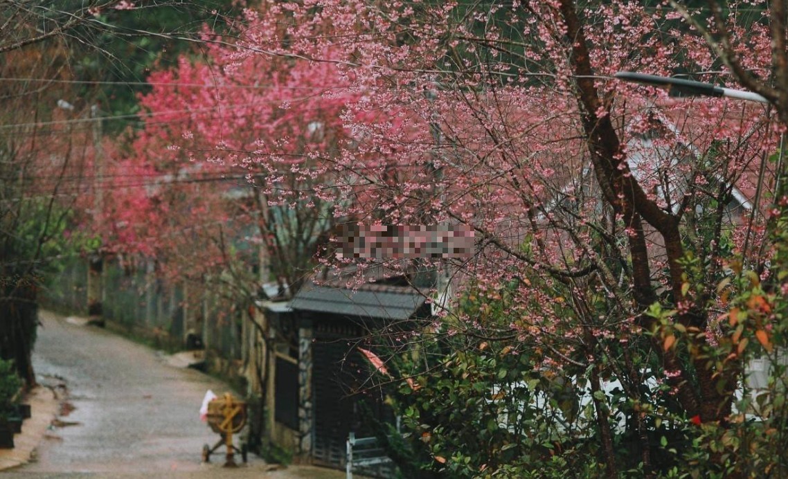 ban nha 2 mat tien 341m2 xa da chais huyen lac duong lam dong