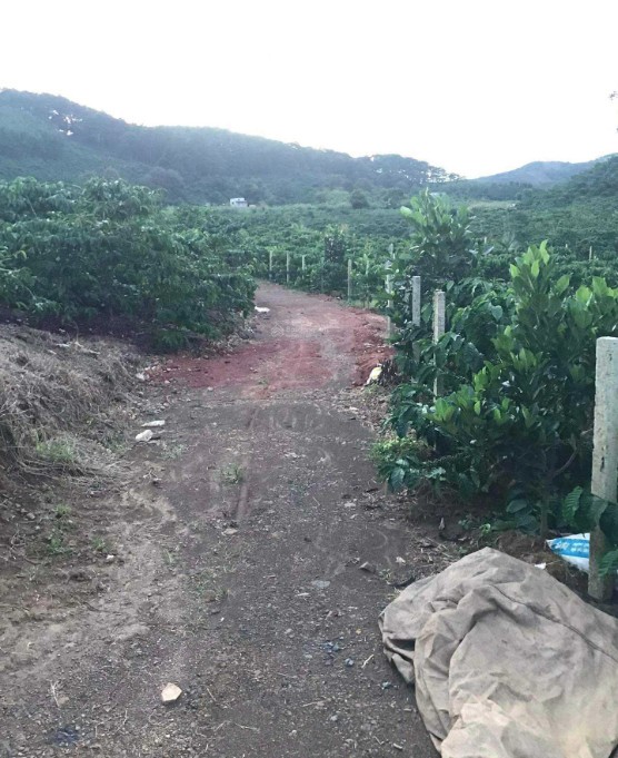 ban dat di linh lam dong   xa gung re 34406 m2