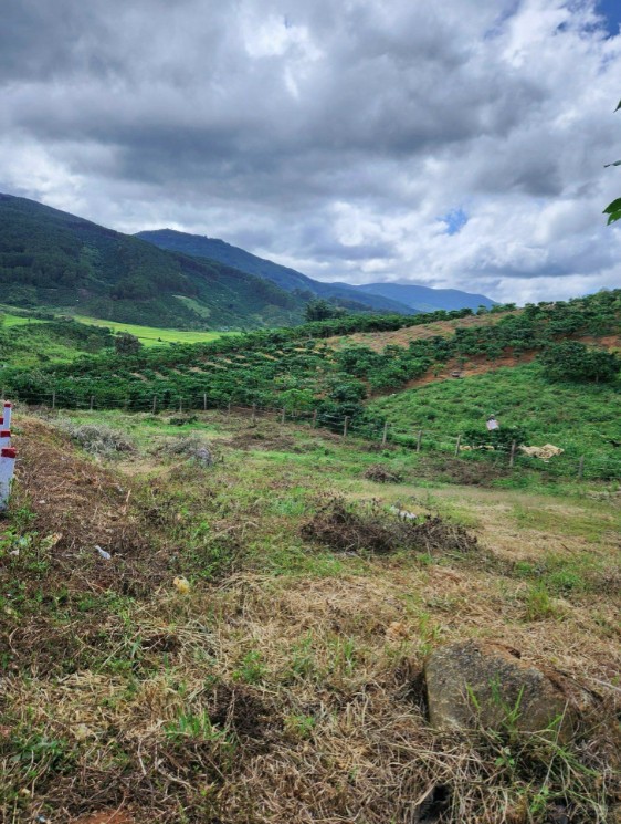 ban 6 nen dat huu tri view nui doi ruong lua tai di linh lam dong