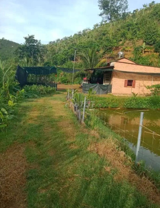 cat lo 40  lo dat dt 1520m2 gia chi 500tr xa tan chau huyen di linh tinh lam dong