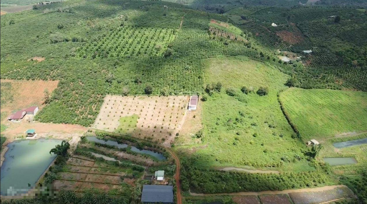ban dat trang trai nha vuon nghi duong xa tan chau huyen di linh tinh lam dong
