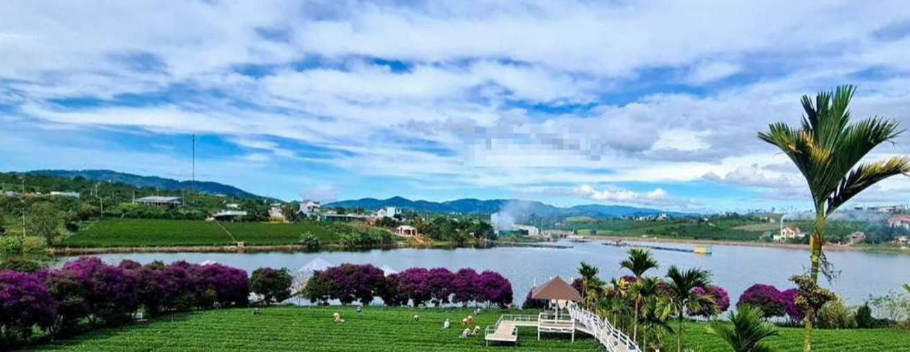 dat view ho chinh chu xa tan lam huyen di linh tinh lam dong gia 580 trieu