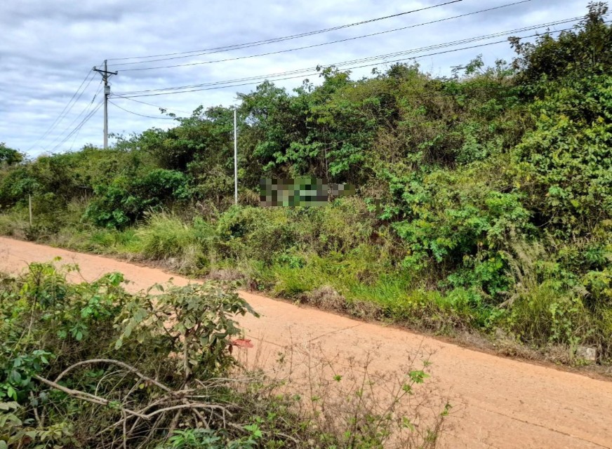 ban dat vuon mat tien duong nhua 6630m2 xa tan thuong huyen di linh tinh lam dong