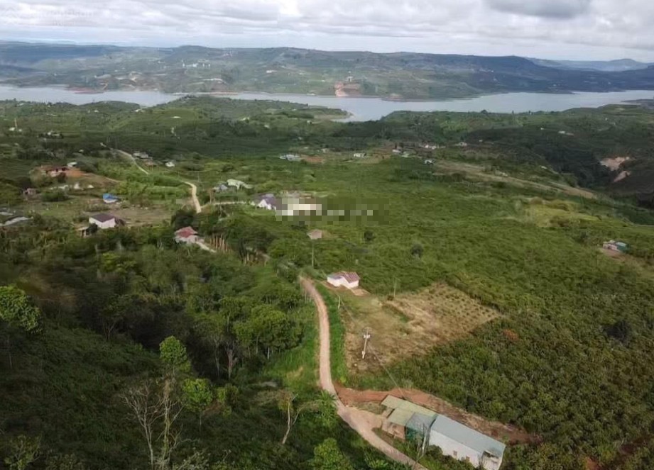 16588m2 ban nhanh 320tr sao  chinh chu lo dat dep view song o tan thuong di linh