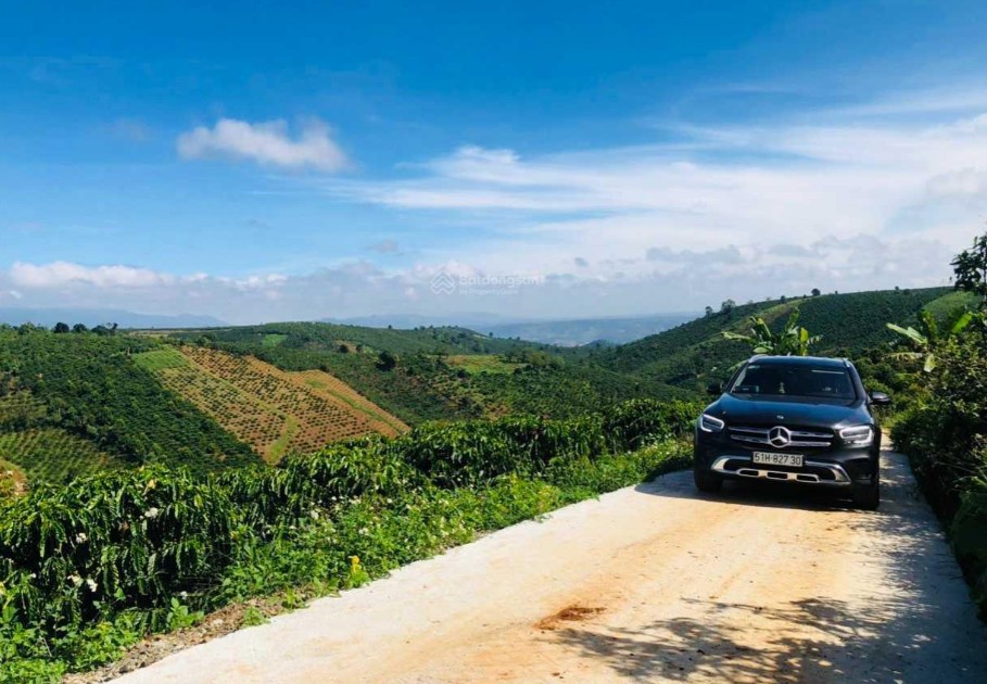 ban vuon rong 1200m2 canh quoc lo 28 thuoc xa tan thuong huyen di linh