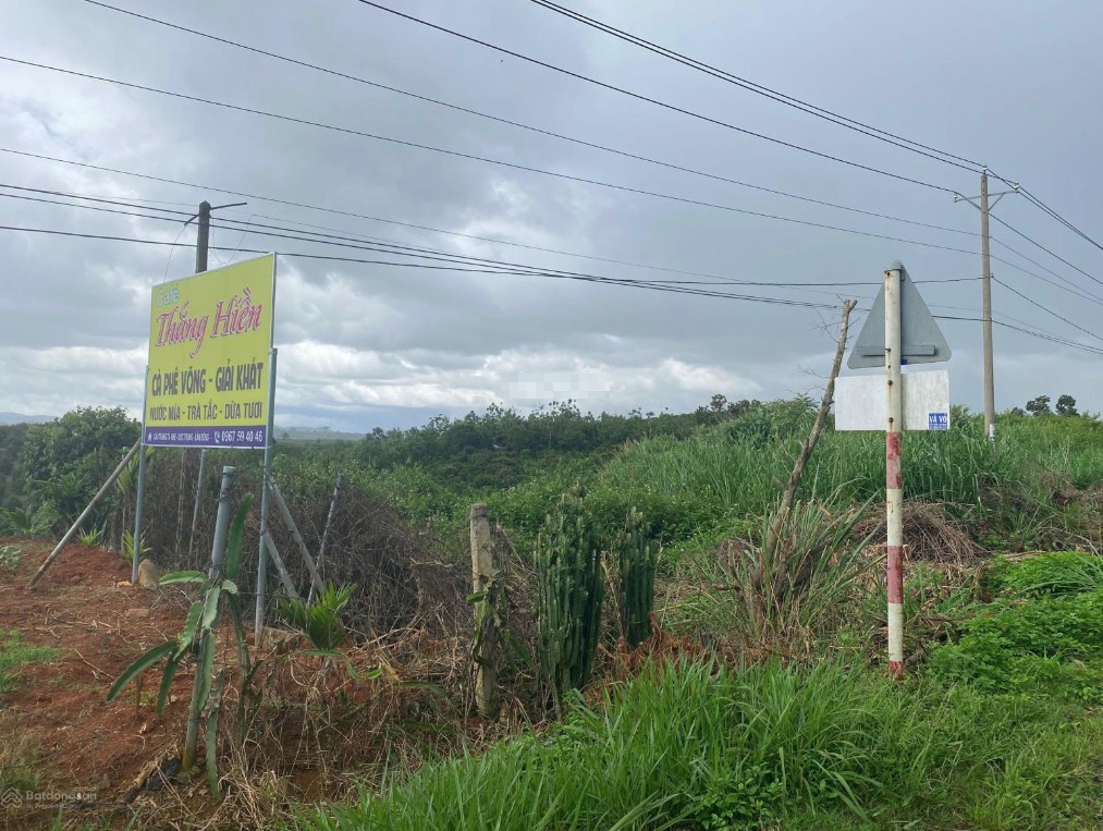 ban dat 6000m2 mat tien quoc lo 28b ngay ho dai ninh tai ta hine duc trong lam dong