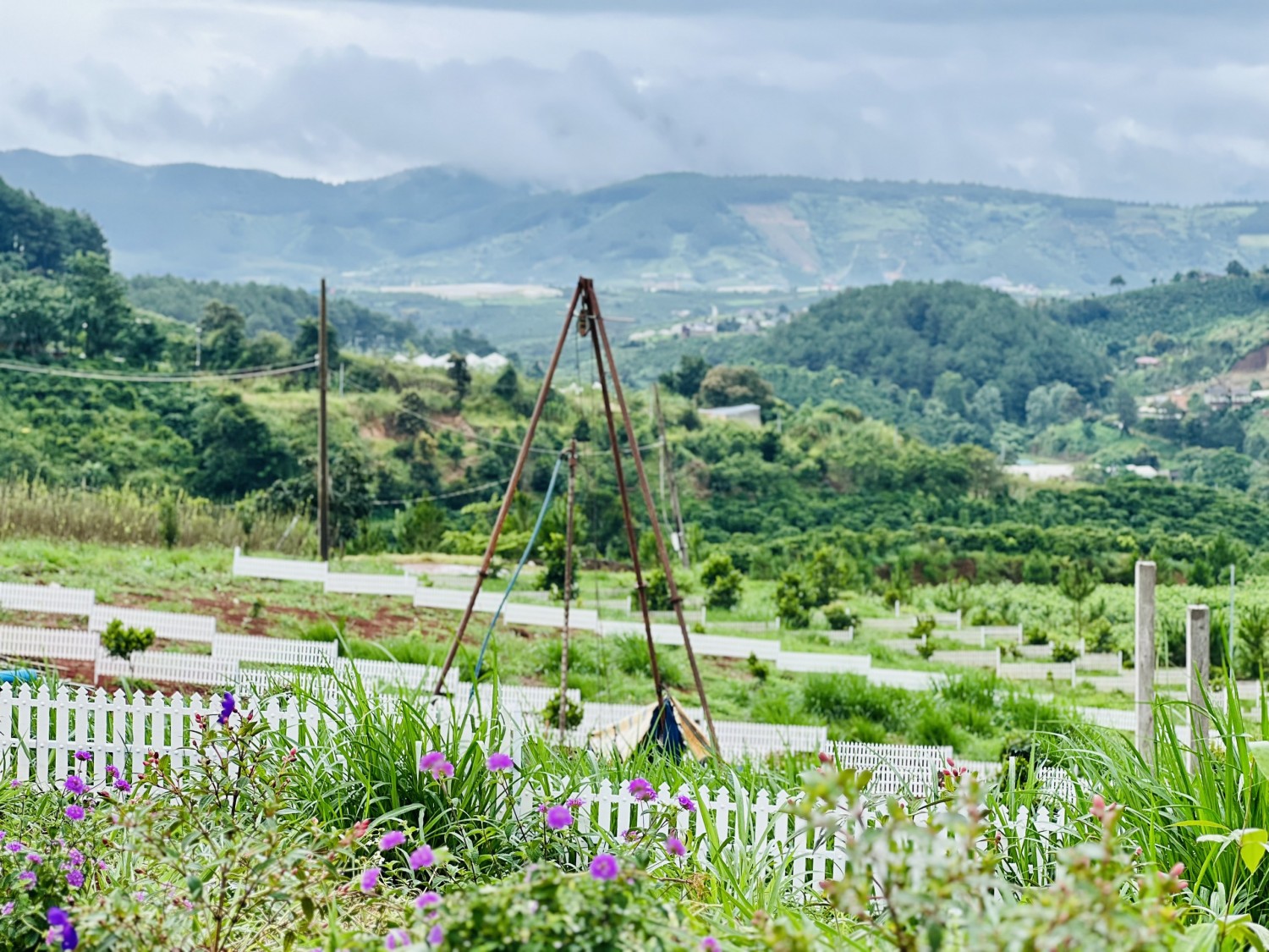 ban dat gia sieu re ven da lat