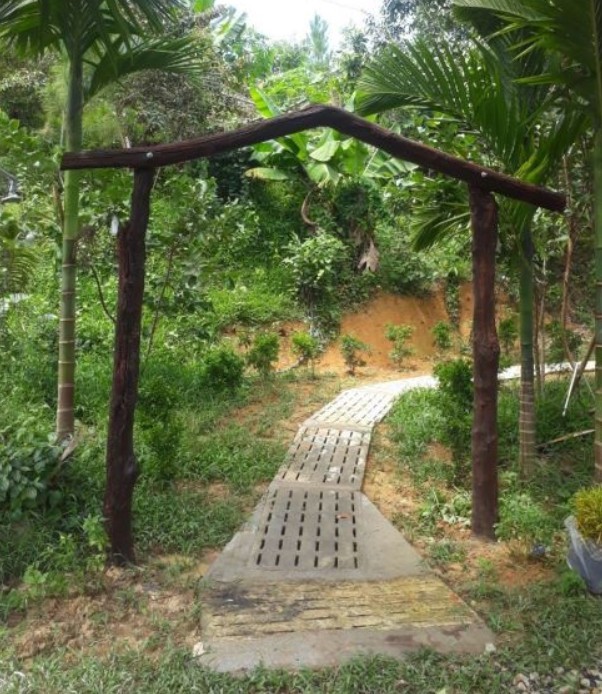 can ban 4 9 hecta dat xa duc pho huyen da huoai ha gia 40  chi 223 trieu  sao