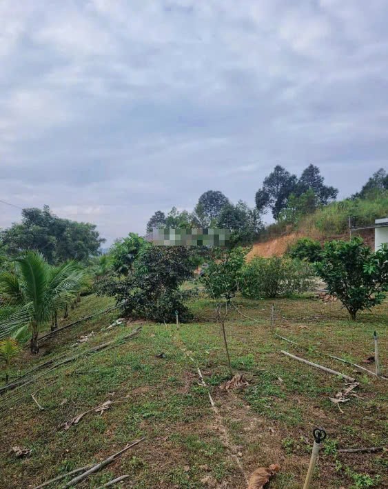 ban dat nha yen gan 3 ha gia sieu re tai xa nam ninh huyen da huoai tinh lam dong
