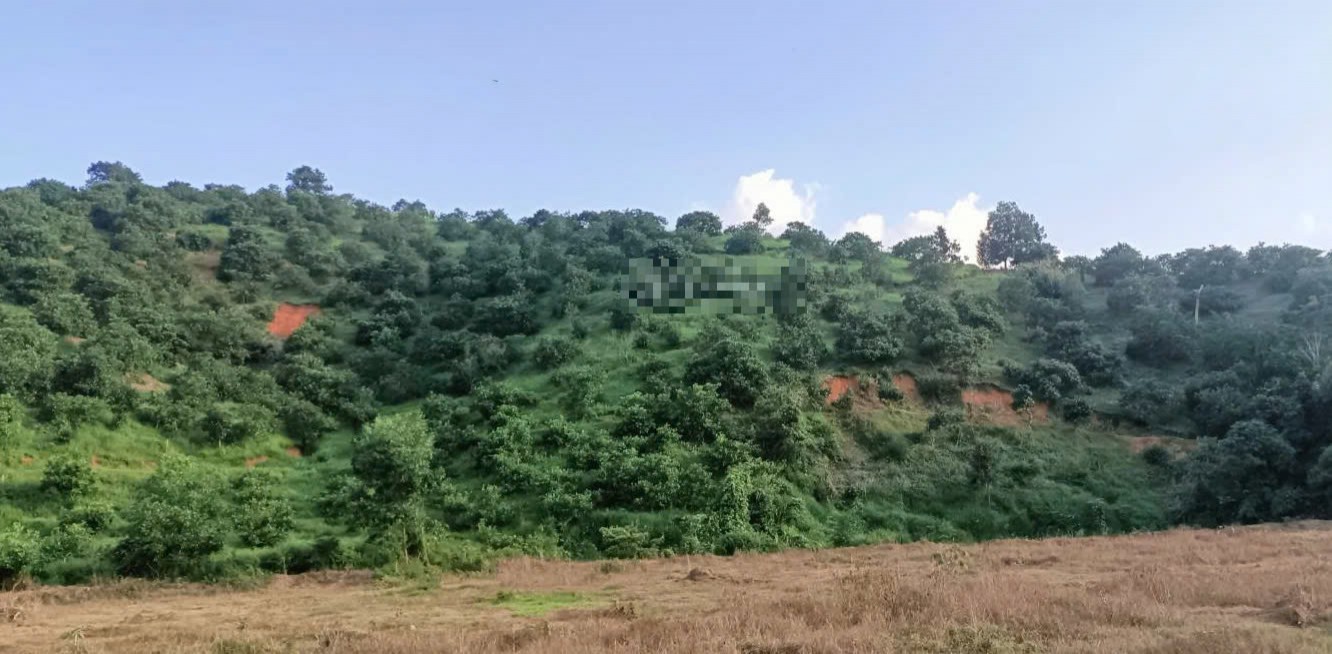 ban vuon dt gan 7ha tai xa nam ninh huyen da huoai tinh lam dong