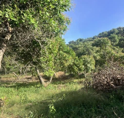 can ban gap 19 ha dat tai xa tien hoang huyen da huoai tinh binh dinh