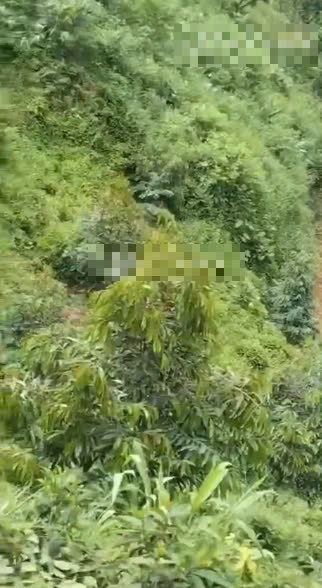 ban dat tai xa gia vien huyen da huoai tinh lam dong