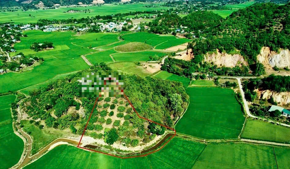 can ban dat o duong lien huyen xa phuoc cat 2 huyen da huoai tinh lam dong