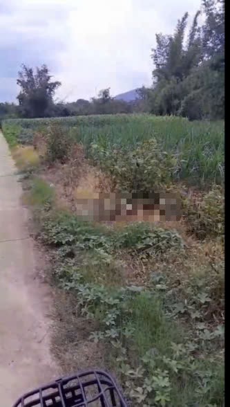 ban dat 45m duong be tong s  13 sao xa phuoc cat 2 huyen  cat tien lam dong