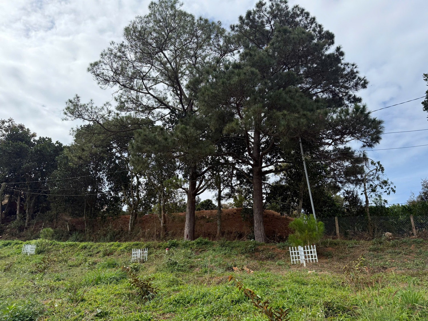420m2 dat xa nam ha gia chi 590tr
