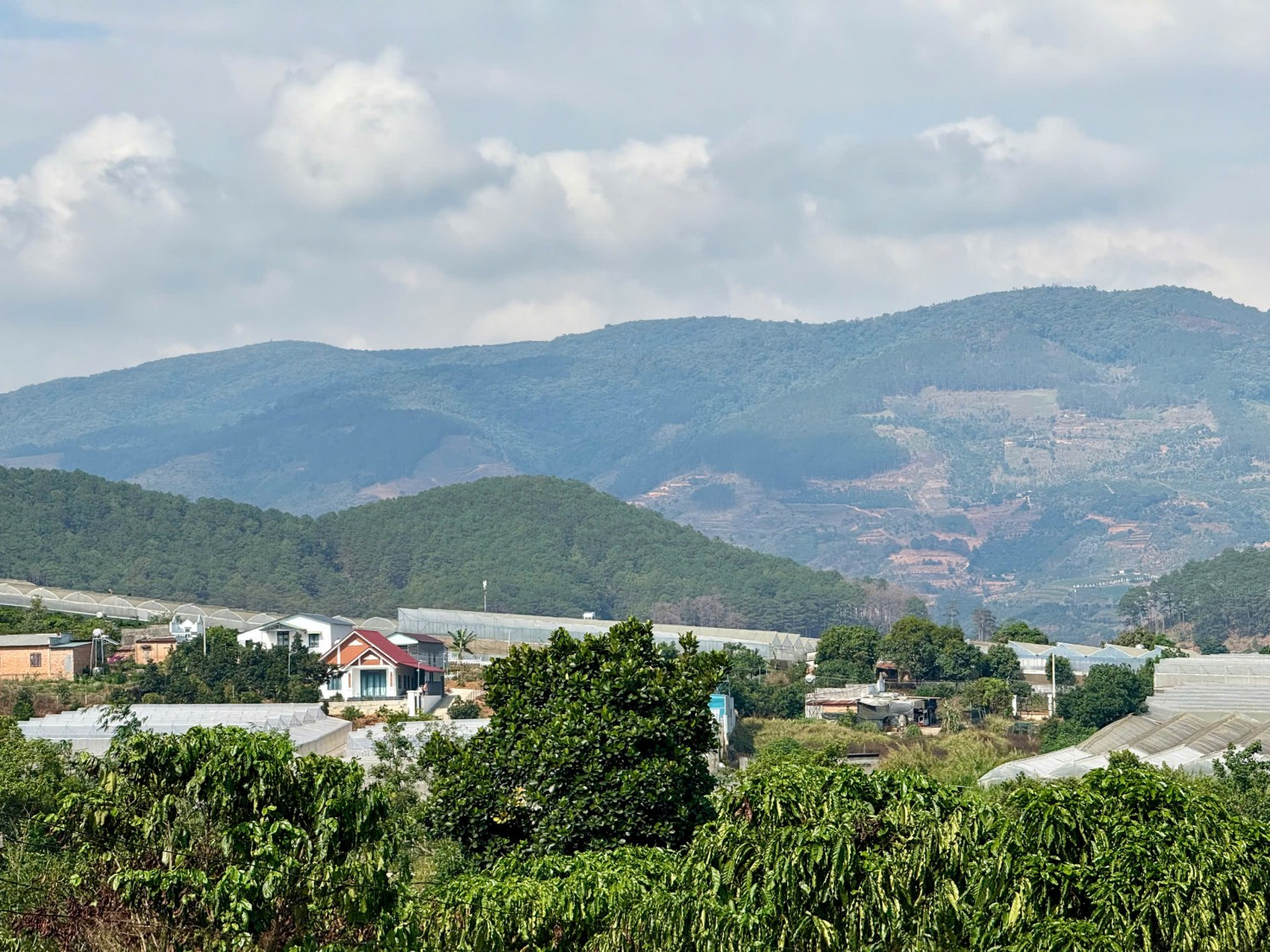 Cách hồ Bãi Công 100m, bán 335m2 đất ở đô thị, ngang 12m, SHR