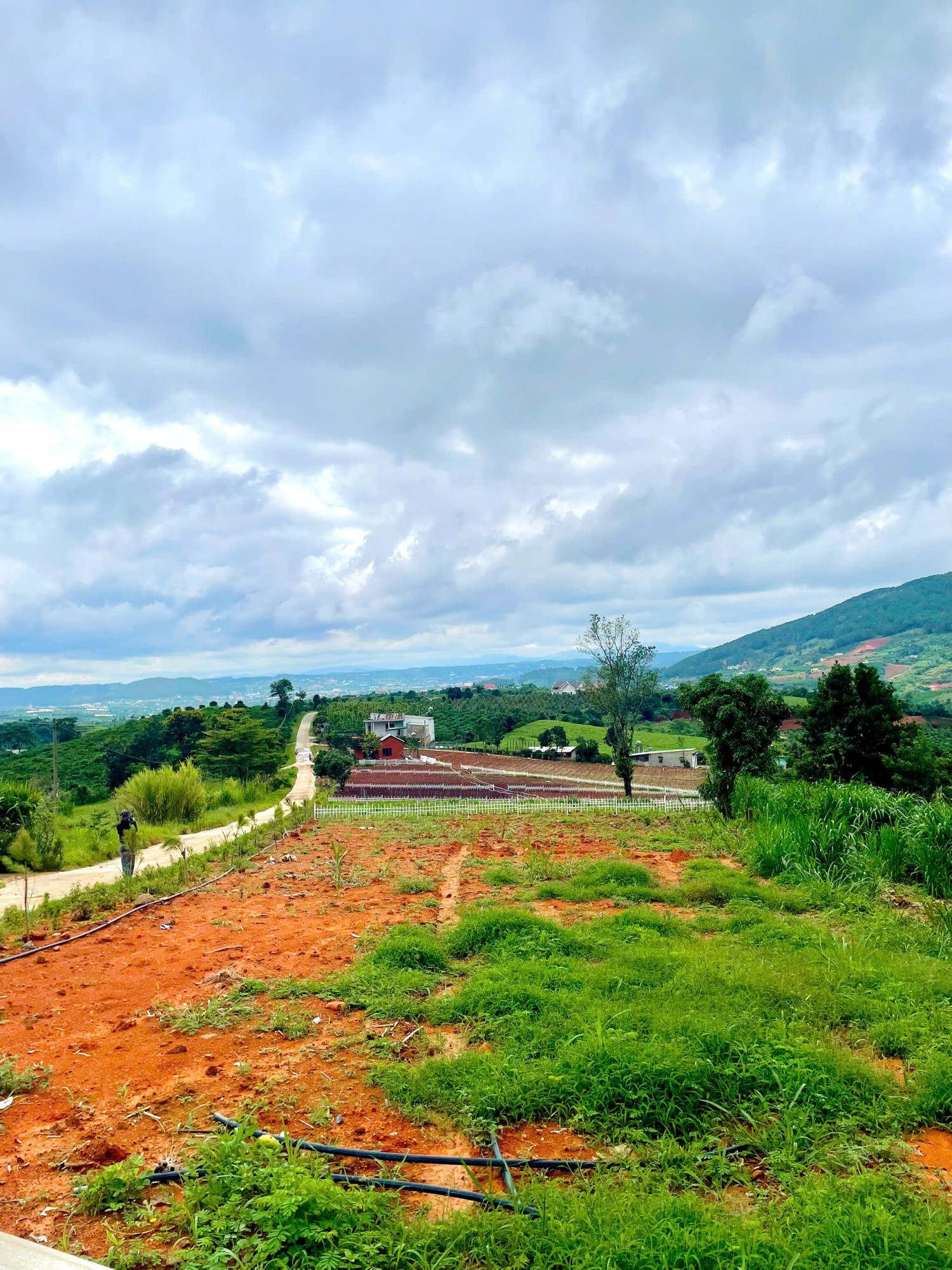 dat nen view dep ven da lat gia chi tu 4xx trieu