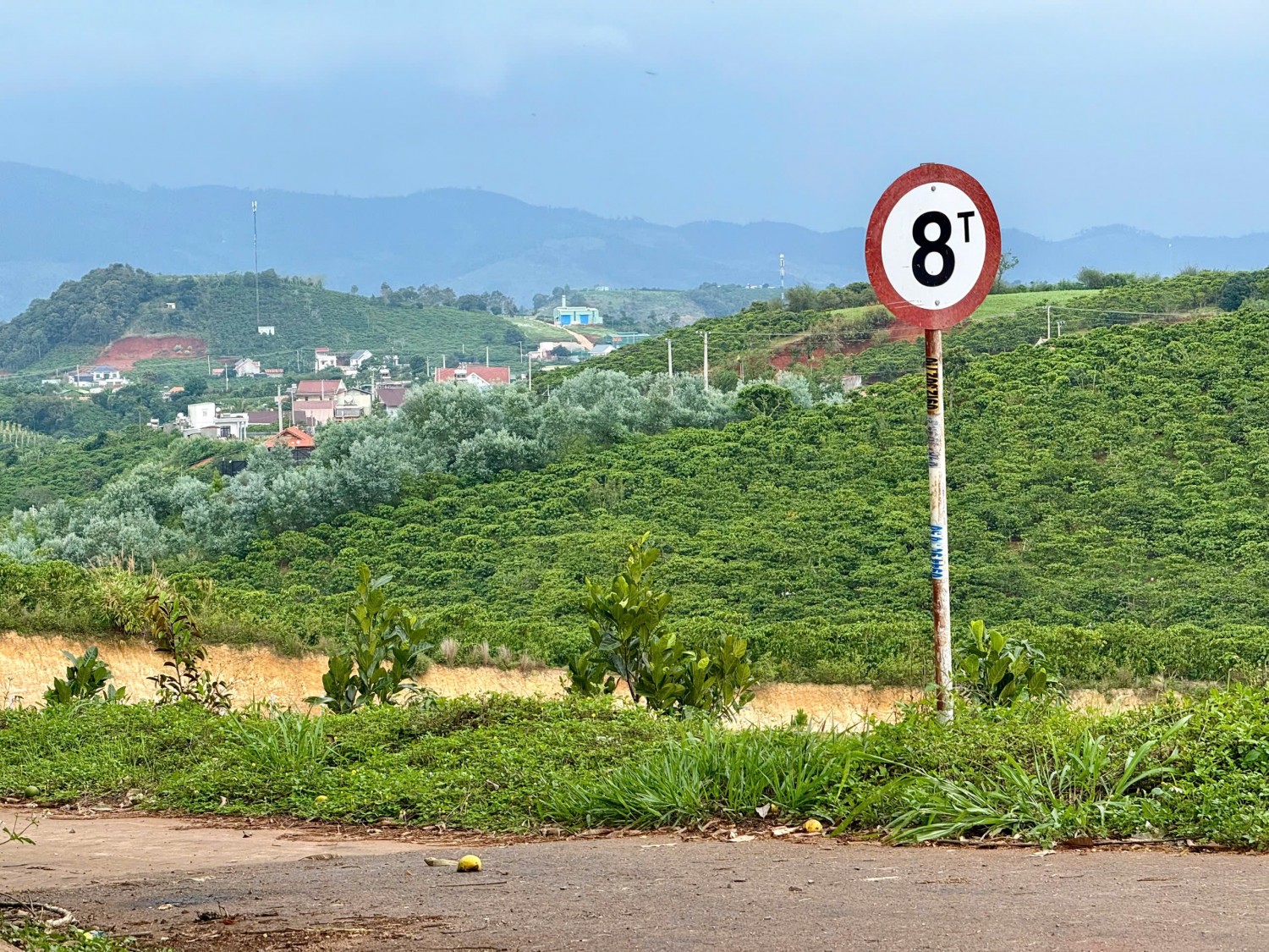 236m2 mat tien duong nhua nam ha